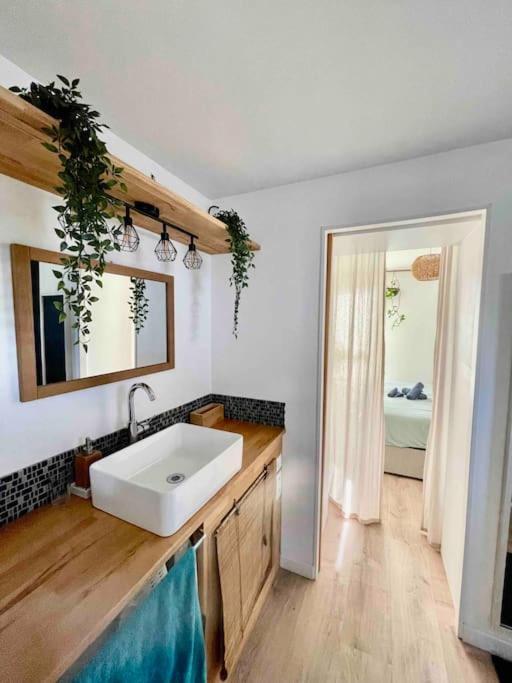 Appartement T3 - Foret & Plage อองเกลต์ ภายนอก รูปภาพ